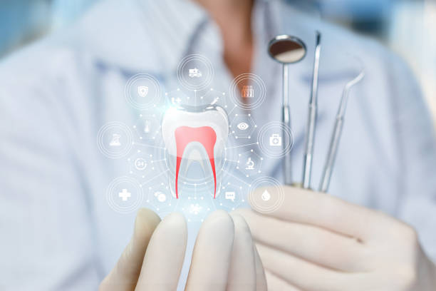 Best Preventive Dentistry  in South Elgin, IL